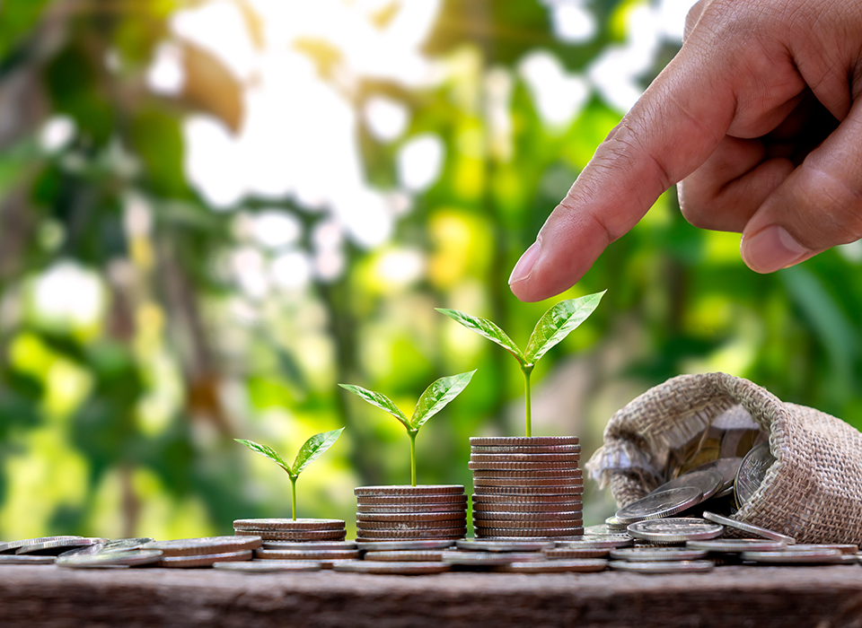 Capital Solutions - Overview